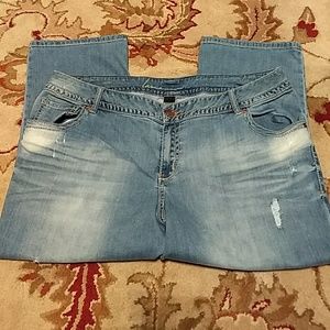 Lane Bryant Genius Fit Distressed Jean Capris